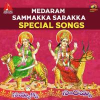 Medaram Sammakka Sarakka Special Songs songs mp3