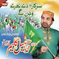 Ishq Nabi Da Sohail Kaleem Farooqi Song Download Mp3