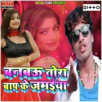 Banbo Tora Bap Ke Jamaiya Bansidhar Chaudhary Song Download Mp3