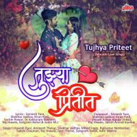 Tujhya Priteet - Marathi Love Songs songs mp3