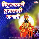 Vithu Mauli Tu Mauli Jagachi Sudhir Waghmode,Padmaja Lamrud Song Download Mp3