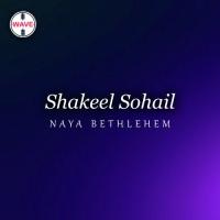 Sitaron Ne Jhilmil Shakeel Sohail Song Download Mp3