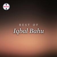 Best Of Iqbal Bahu songs mp3