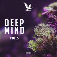 Deep Mind, Vol. 5 songs mp3