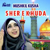 Mushkil Kusha Sher E Khuda Gulaab Song Download Mp3