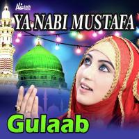 Ya Nabi Mustafa Gulaab Song Download Mp3