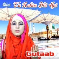 Tu Rahim Bhi Hai Gulaab Song Download Mp3