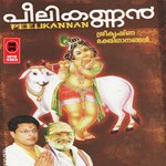 Thiruvaranmula Manjari Song Download Mp3