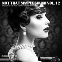 Not That Simple Sound, Vol. 12 - Premium Lounge and Downtempo Moods songs mp3
