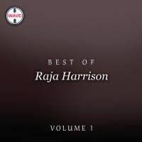 Aj Kis Rang Main Raja Harrison Song Download Mp3
