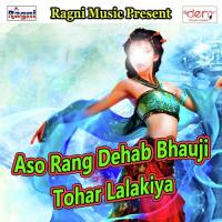 Aso Rang Dehab Bhauji Tohar Lalakiya songs mp3