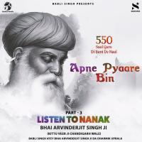 Apne Pyaare Bin Bhai ArvinderJit Singh Ji Song Download Mp3
