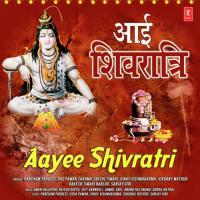 Tere Dhaam Aaya Hoon Vikrant Mathur Song Download Mp3