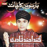 Mera Dil Tarap Raha Hai Muhammed Ahmed Qadri Song Download Mp3