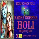 Holi Songs, Vol. 1: Radha Krishna Holi Bhajan DJ Mix songs mp3