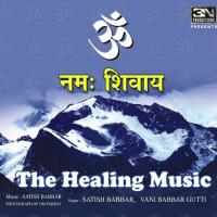Om Namoh Shivay - The Healing Music songs mp3