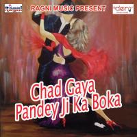 Chad Gaya Pandey Ji Ka Boka Dhirendra Aryan Song Download Mp3