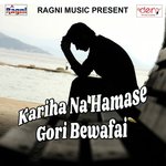Kariha Na Hamase Gori Bewafai Suresh Deewana Song Download Mp3