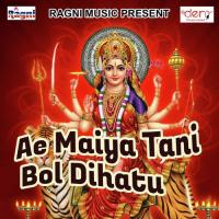 Deewana DJ Bajake Royi Ho Ravi Raj Yadav Song Download Mp3