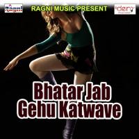 Bhatar Jab Gehu Katwave songs mp3