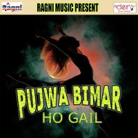 Pujwa Bimar Ho Gail Prajapati Arun Pandey Song Download Mp3