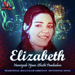 Nanniyode Njan Stuthi Paadidum Elizabeth S. Mathew Song Download Mp3