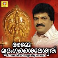 Oru Punyam Sankeerth Shaji Song Download Mp3