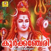 Sree Narayana Viswanath V Song Download Mp3