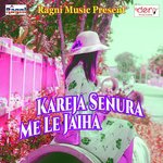 Kareja Senura Me Le Jaiha songs mp3