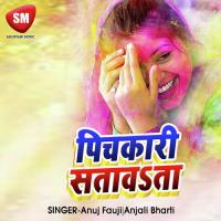 Pichkari Satawta Ravi Ajit Song Download Mp3