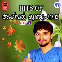 Monjathi Poove Afsal Koothuparamba Song Download Mp3
