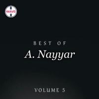 Best Of A. Nayyar, Vol. 5 songs mp3