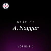 Best Of A. Nayyar, Vol. 2 songs mp3