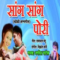 Sang Sang Pori Jagdish Patil Song Download Mp3