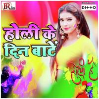 Holi Ke Din Bate songs mp3