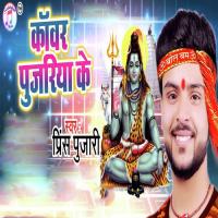 Kanwar Pujariya Ke Prince Pujari Song Download Mp3