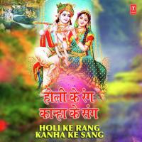 Ae Mohan Brijbasi Tum (From "Machalbaate Holi") Bharat Sharma Vyas Song Download Mp3