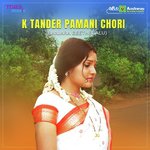 K Tander Pamani Chori songs mp3