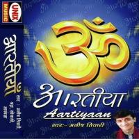 Om Jai Jagdish Hare Manish Tiwari Song Download Mp3