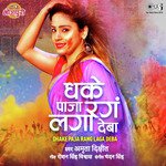 Dhake Paja Rang Laga Deba Amrita Dixit Song Download Mp3