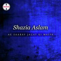 Tum Karlo Ibadat Shazia Aslam Song Download Mp3