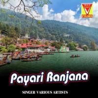 Payari Ranjana (Kumaoni Song) songs mp3