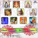 Om Gan Ganpataye Namah-Shree Ganeshachi 12 Naave Ravindra Sathe Song Download Mp3