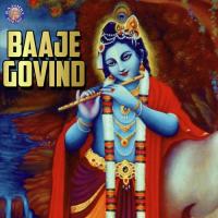 Shri Krishna Govinda Hare Murare Ketaki Bhave-Joshi Song Download Mp3