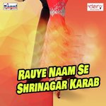 Rauye Naam Se Shrinagar Karab songs mp3
