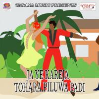 Meri Barbadi Karan Krodhi Song Download Mp3