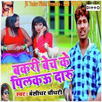 Chhauri Toy Current Marai Chhi Bansidhar Chaudhary Song Download Mp3