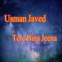 Tere Bina Jeena Usman Javed Song Download Mp3