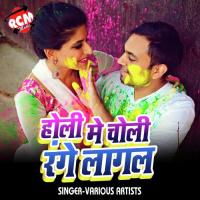 Holi Me Choli Range Lagal songs mp3