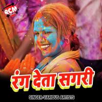 Rang Deta Sagri Dharamjit Singh Song Download Mp3